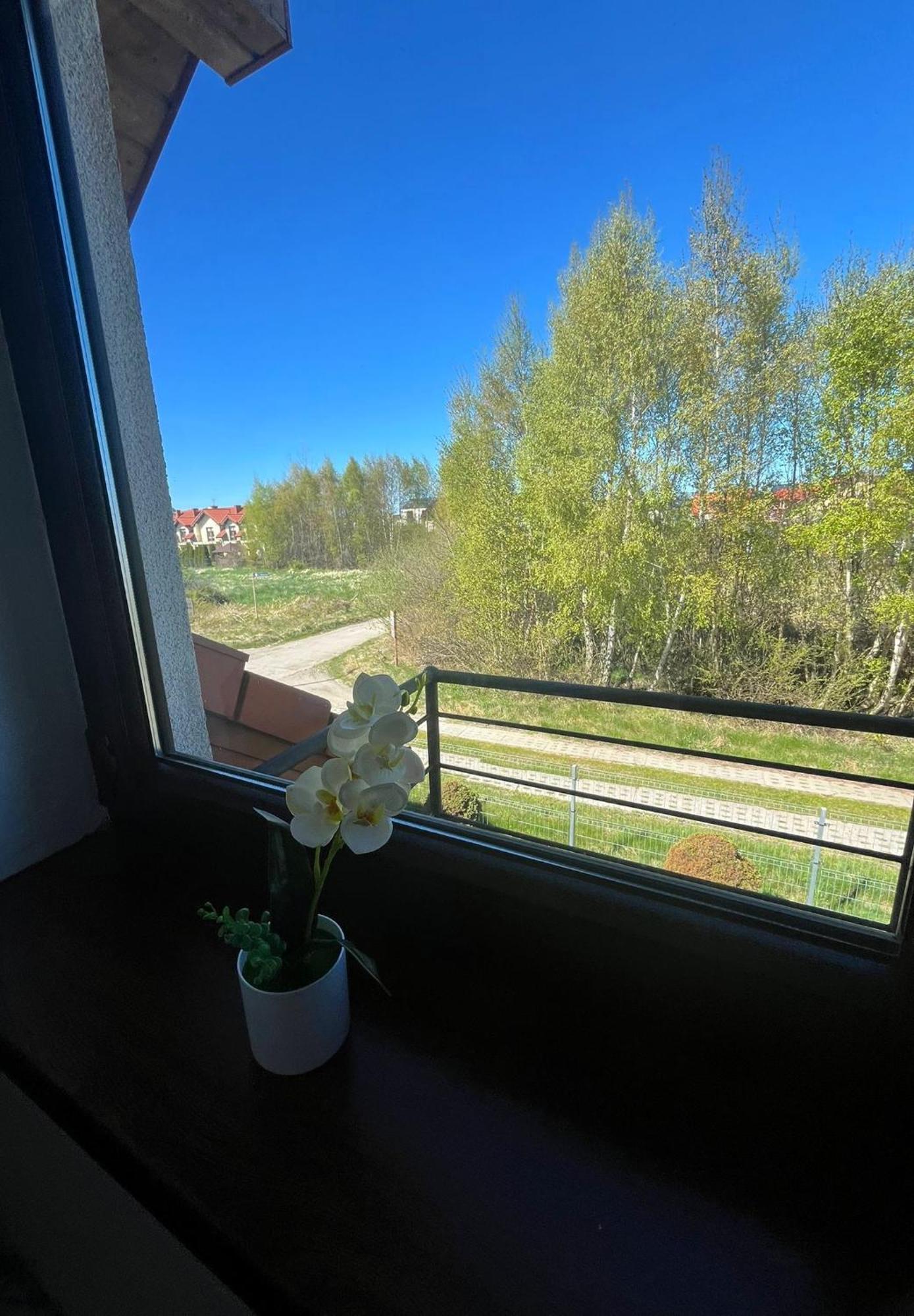 Apartamenty Adrenja Rowy  Εξωτερικό φωτογραφία
